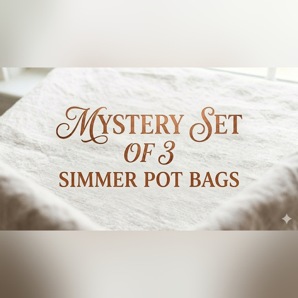 Mystery Set of 3 Simmer Pot Bags